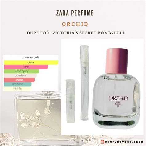 all zara dupe perfumes|zara perfume orchid dupe.